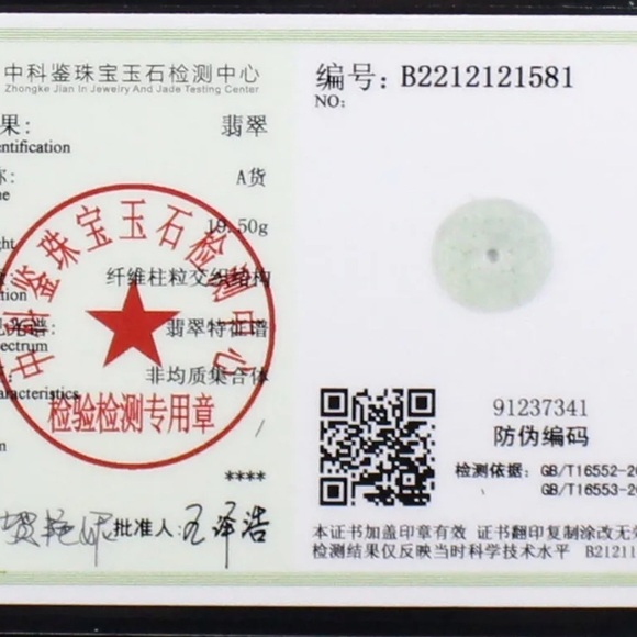 CERTIFIED Burma Grade A Jadeite Light Green Moire Hand Carved Donut Necklace - Picture 3 of 3